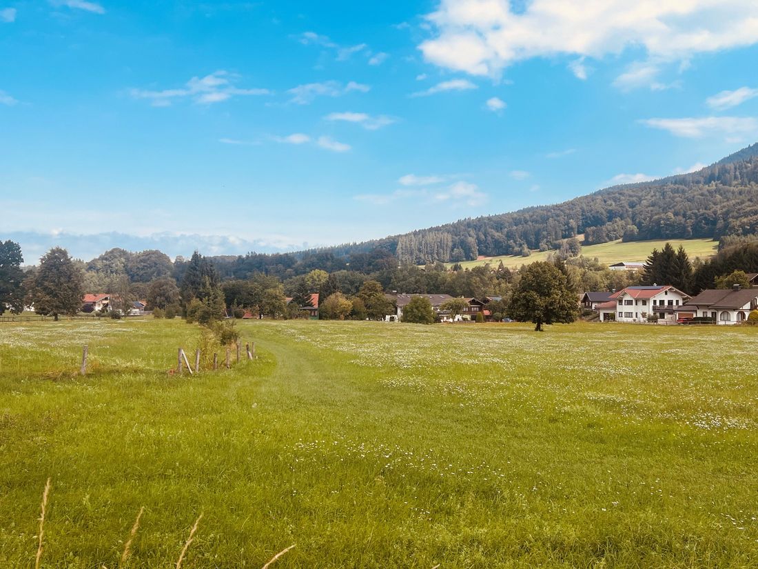 Blick aufs offene Feld