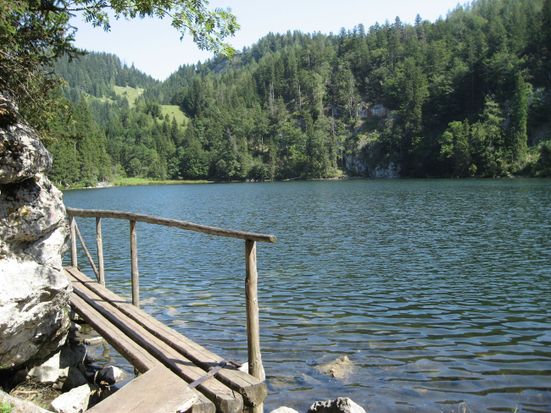 Taubensee