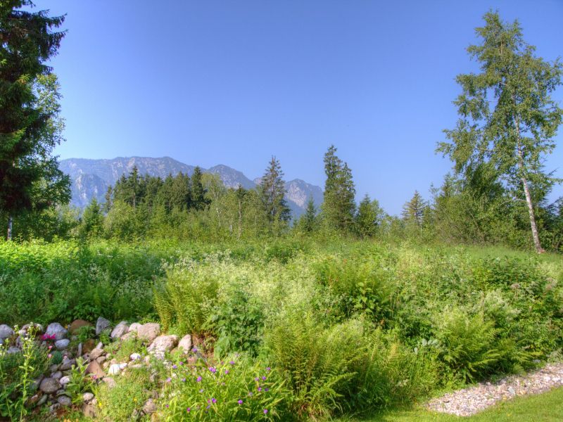 Aussicht vom Garten