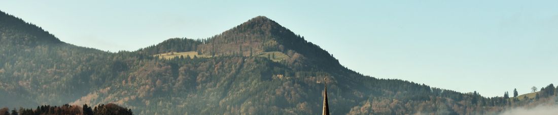 Ausblick
