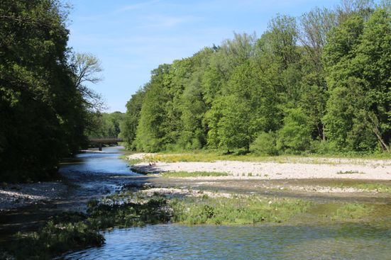 Traun