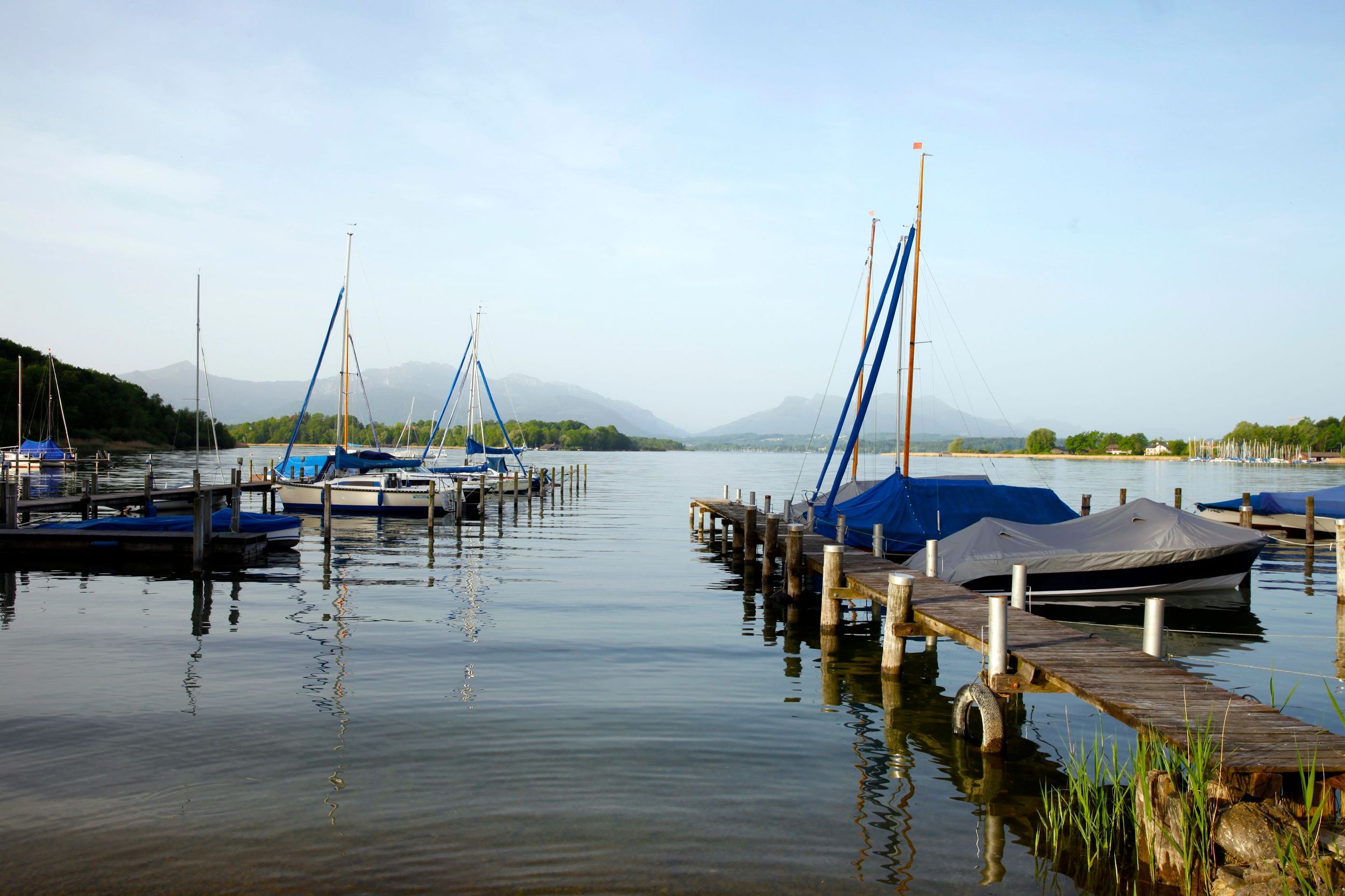 Blick See