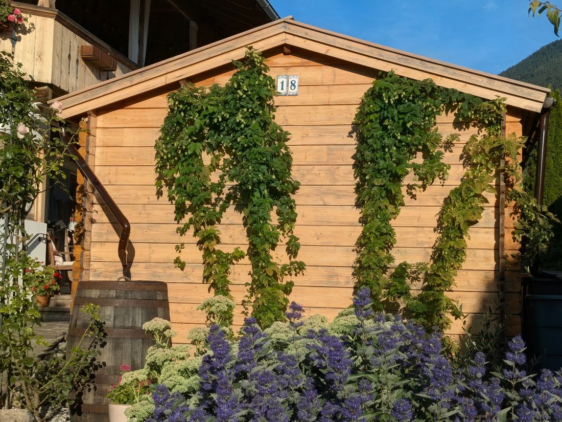 Hopfengarten