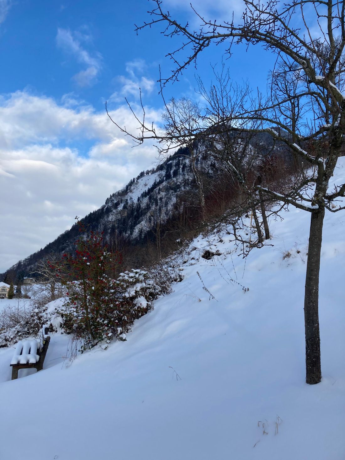 Schnappen Berg