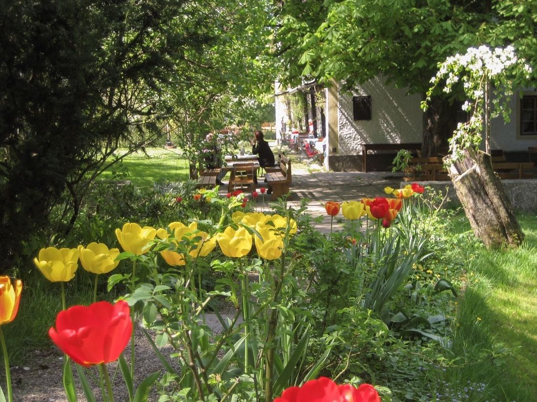 Landhaus Griessee - Garten mit Tulpen