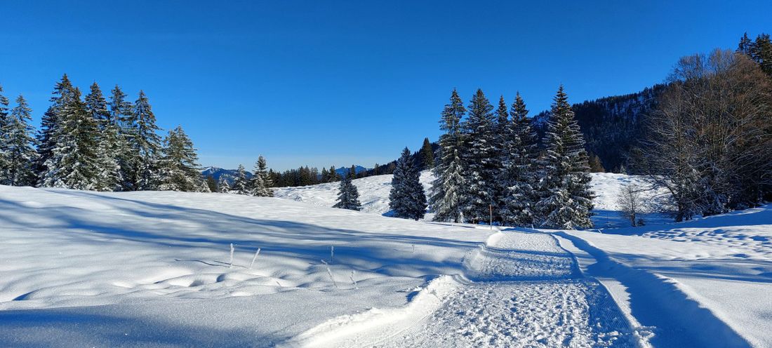 Wandern in Blindau (Winter)