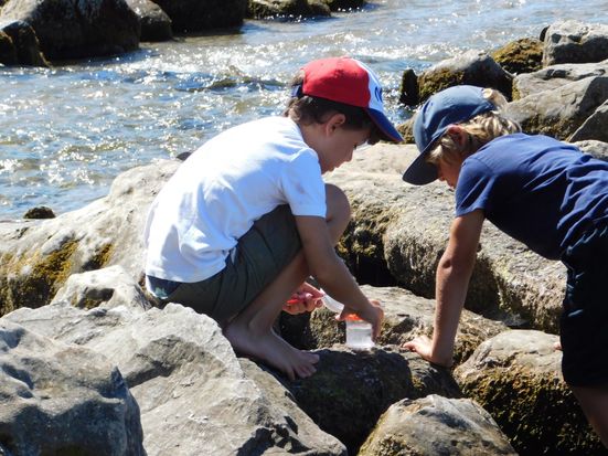 bild-gewaesser-unter-der-lupe