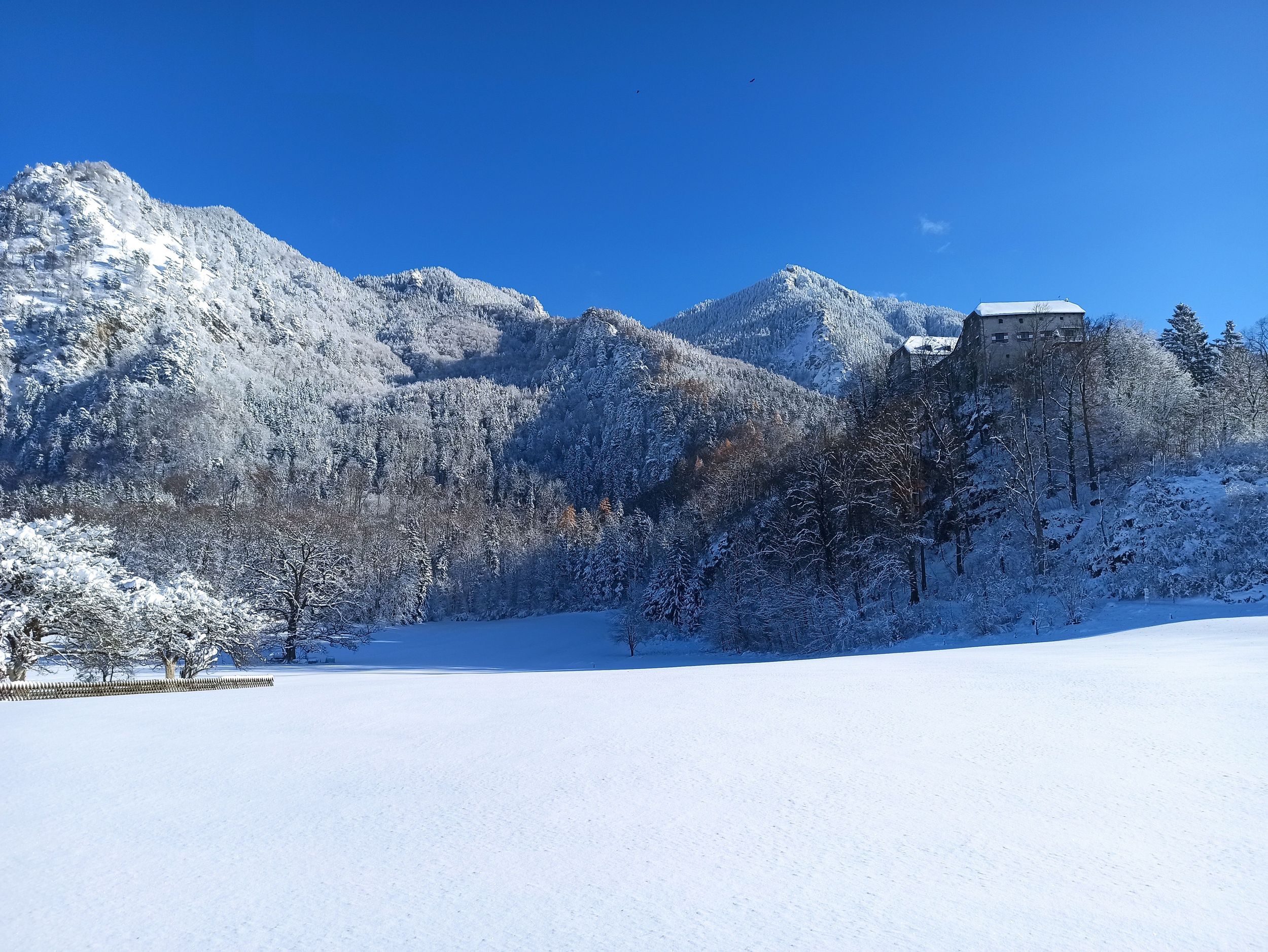 Aussicht im Winter