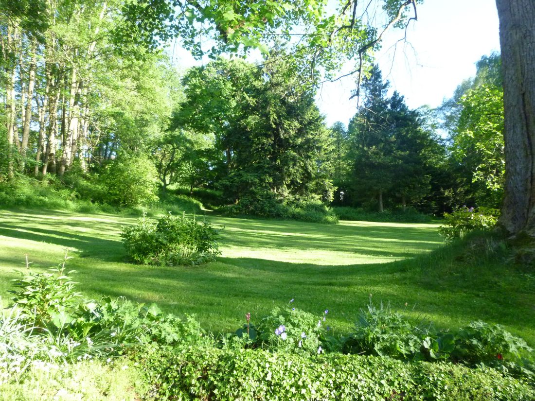 Landschaft