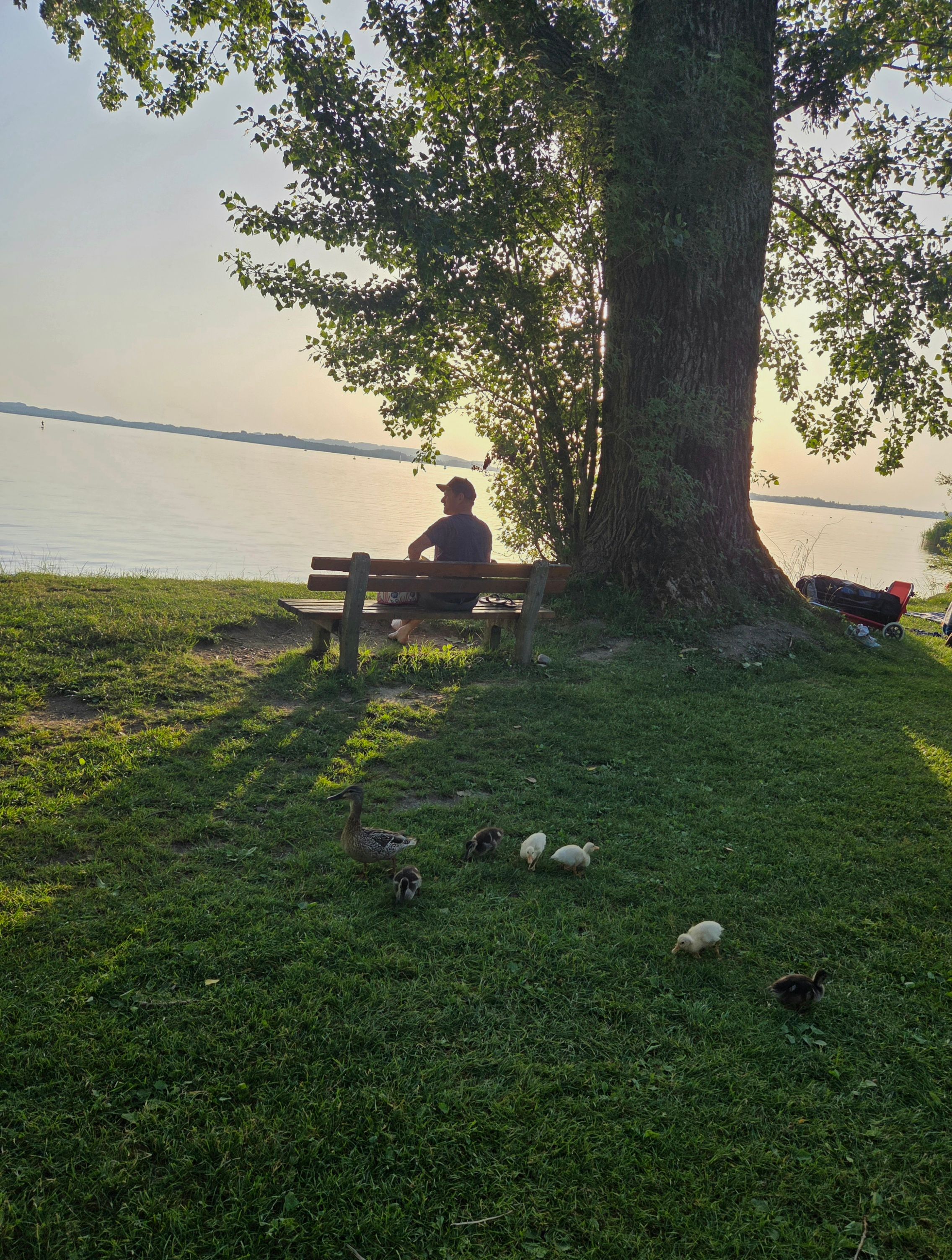 Ausflug zum Chiemsee