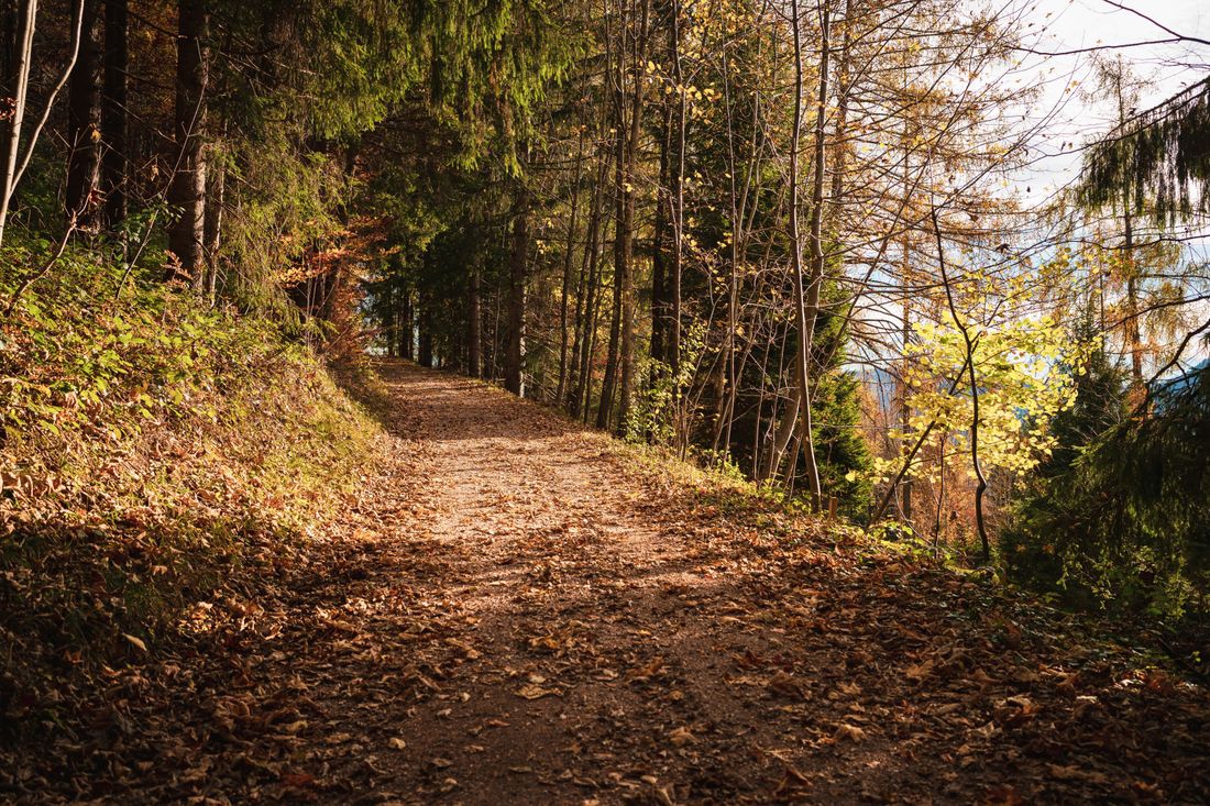 Am Wittelsbacher Höhenweg