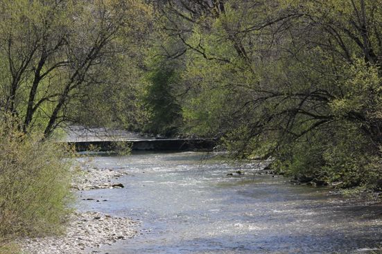 Entlang der Traun