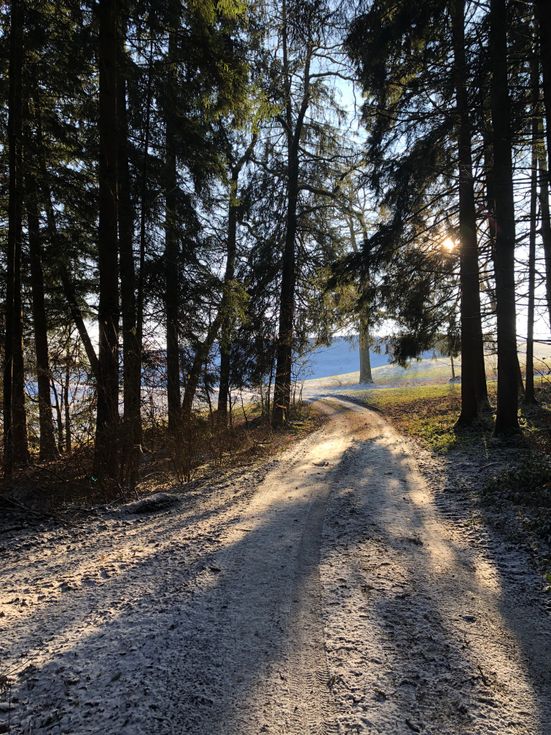 Gesund und kraftvoll durch den Winter