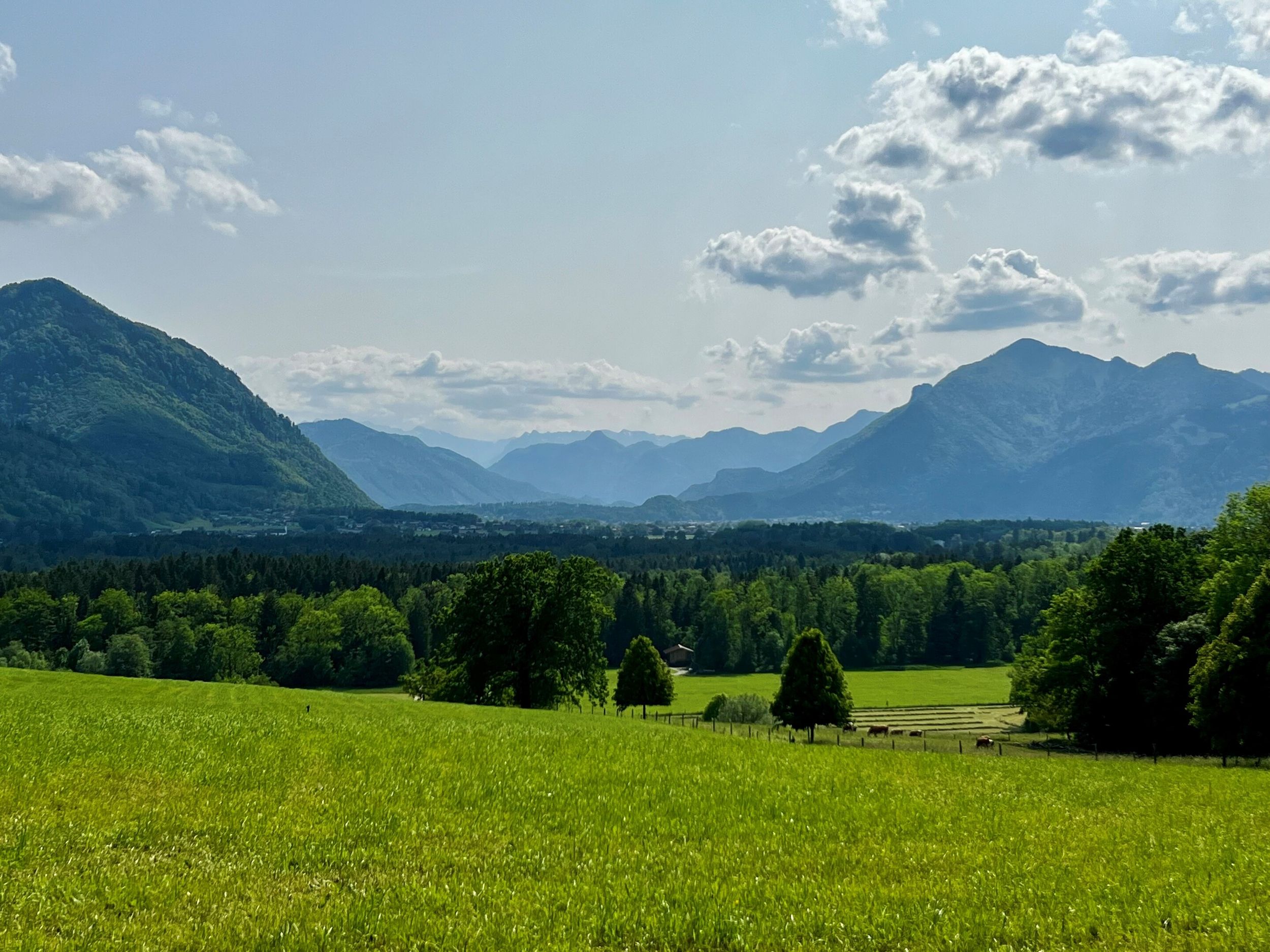 Blick vom Osterbuchberg