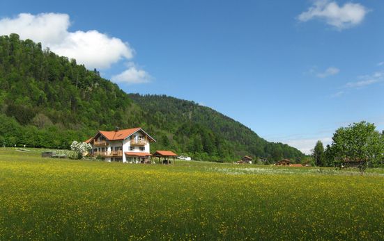 Our house in the middle of a large meadow