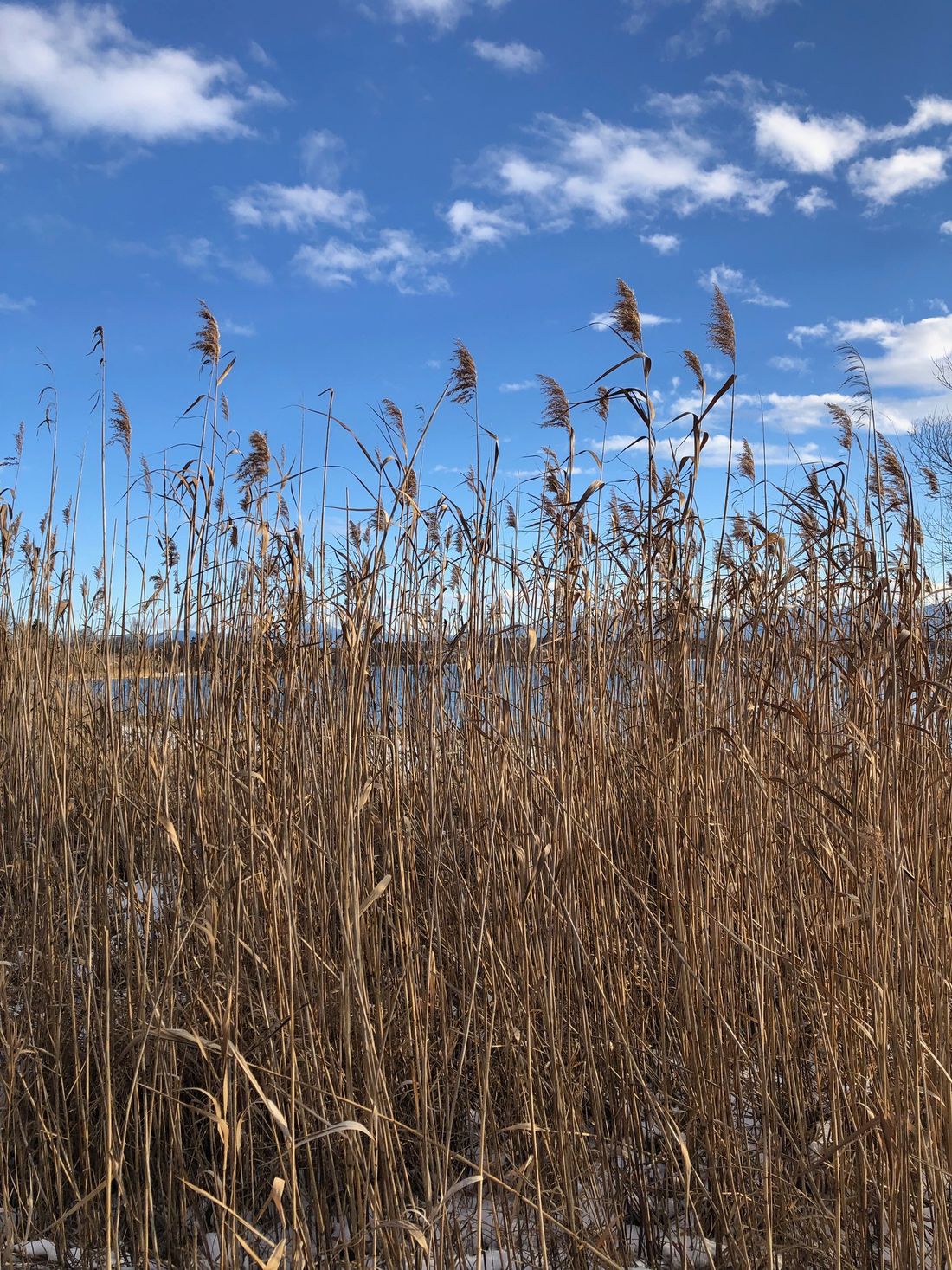 Gesund_kraftvoll_Winter_Philipp_2