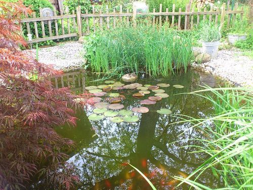 Teich am Gartenhaus