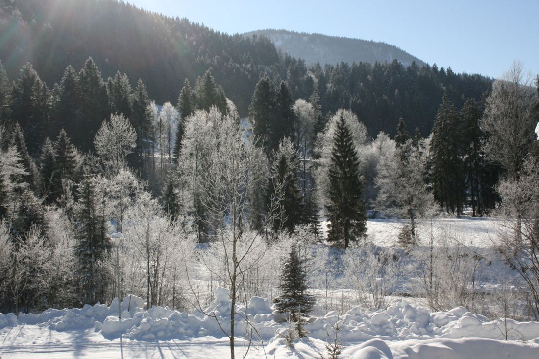 Blick vom Winterbalkon