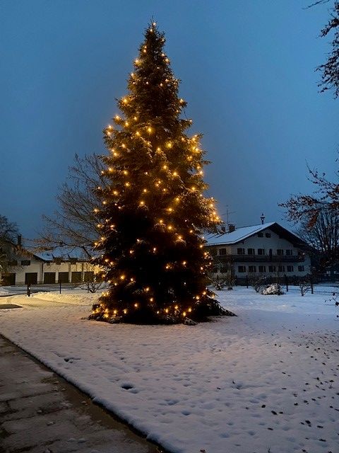 Christbaum Sossau 2023