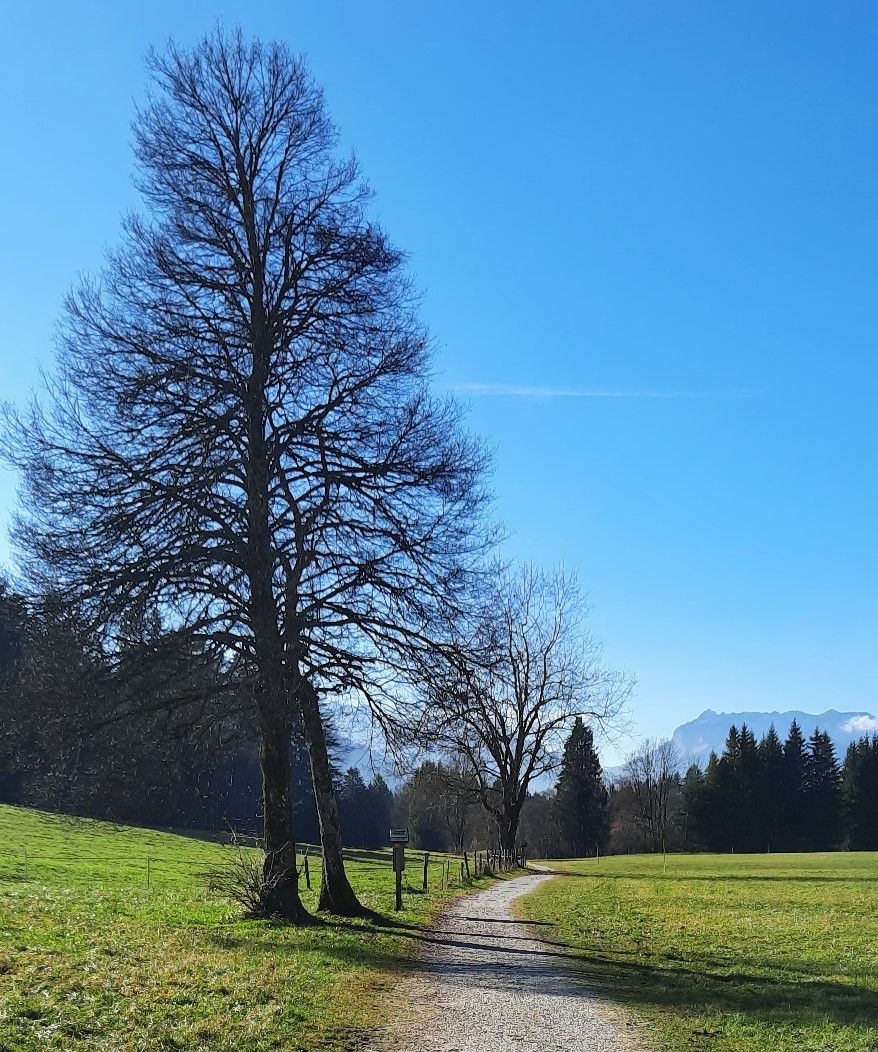 Spaziergang mit Bergblick
