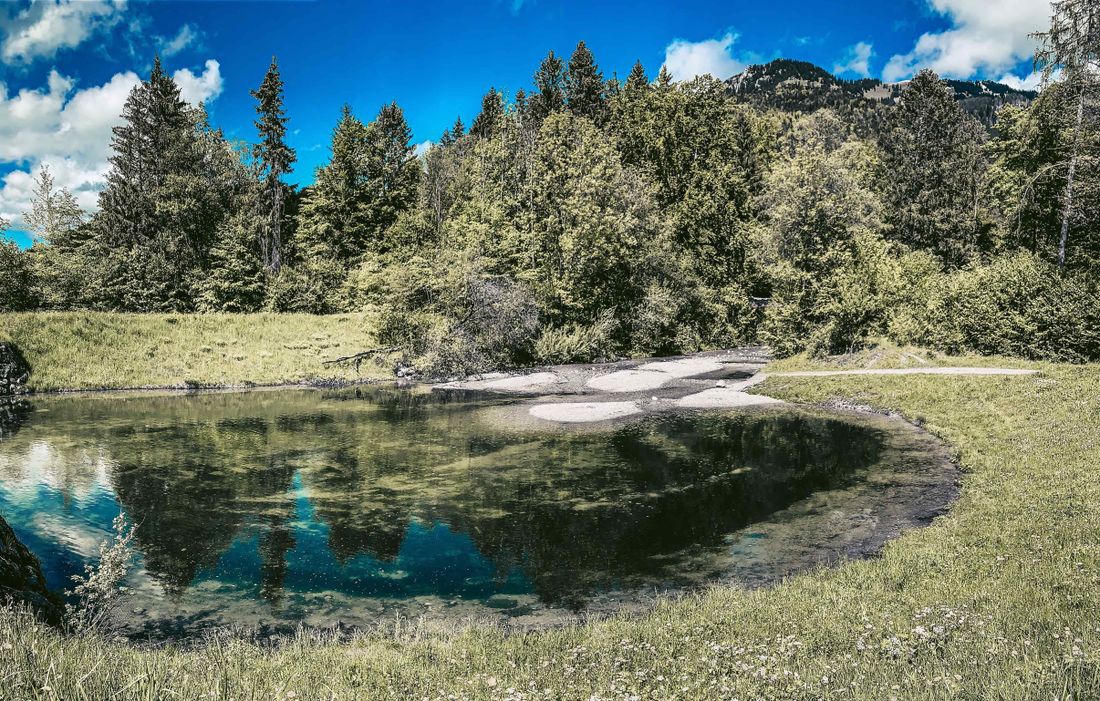 Kaltenbach