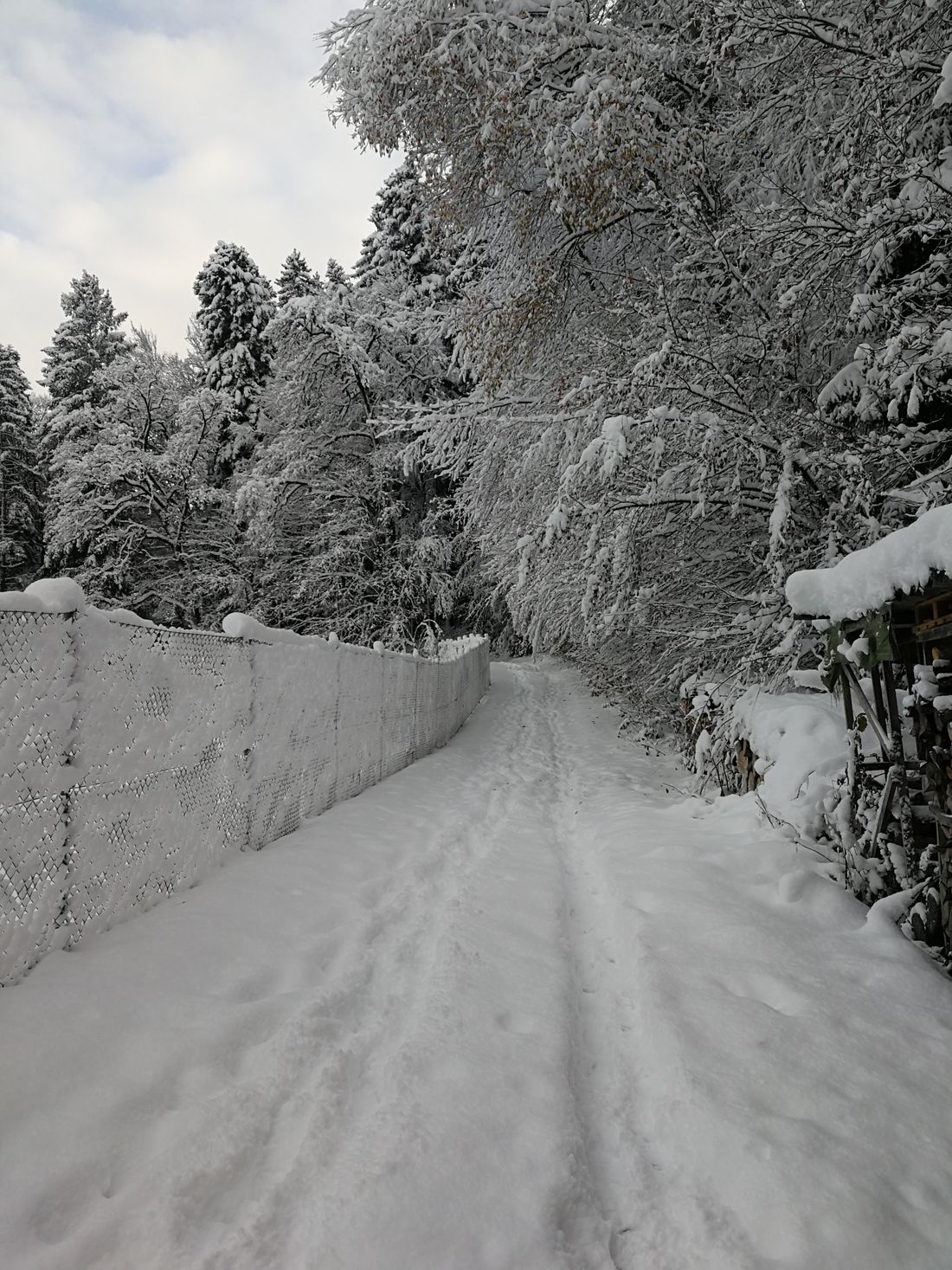 Verschneiter Weg