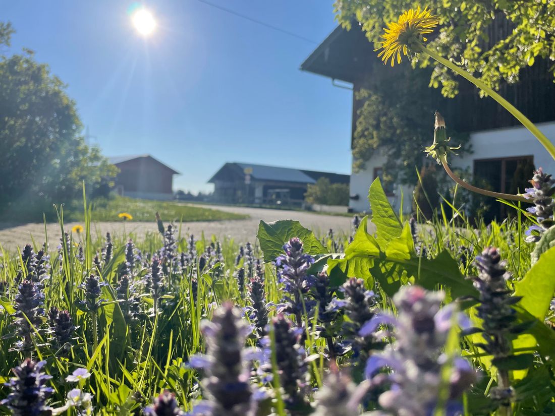 Gartenanlage um unseren Bauernhof