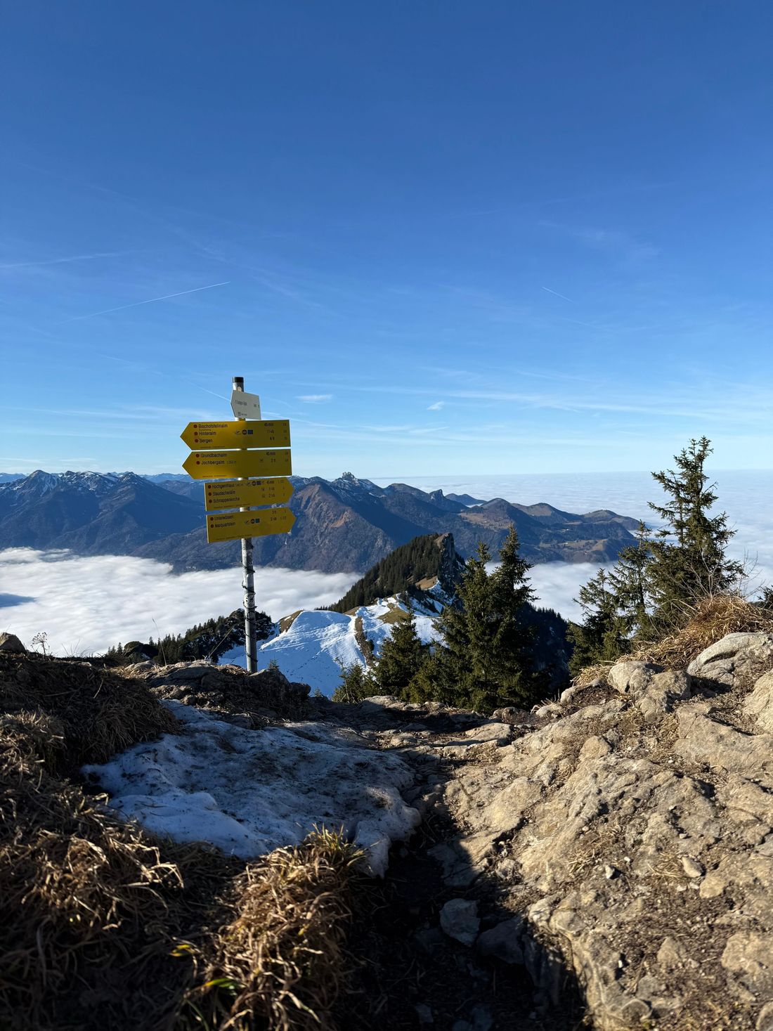 Blick vom Hochgern