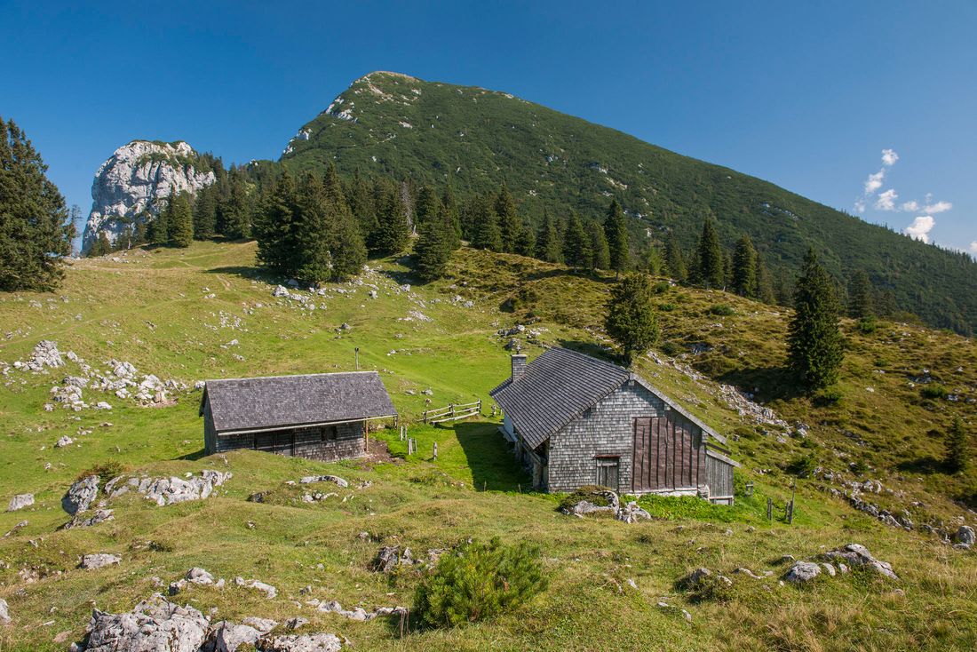 Kohleralm