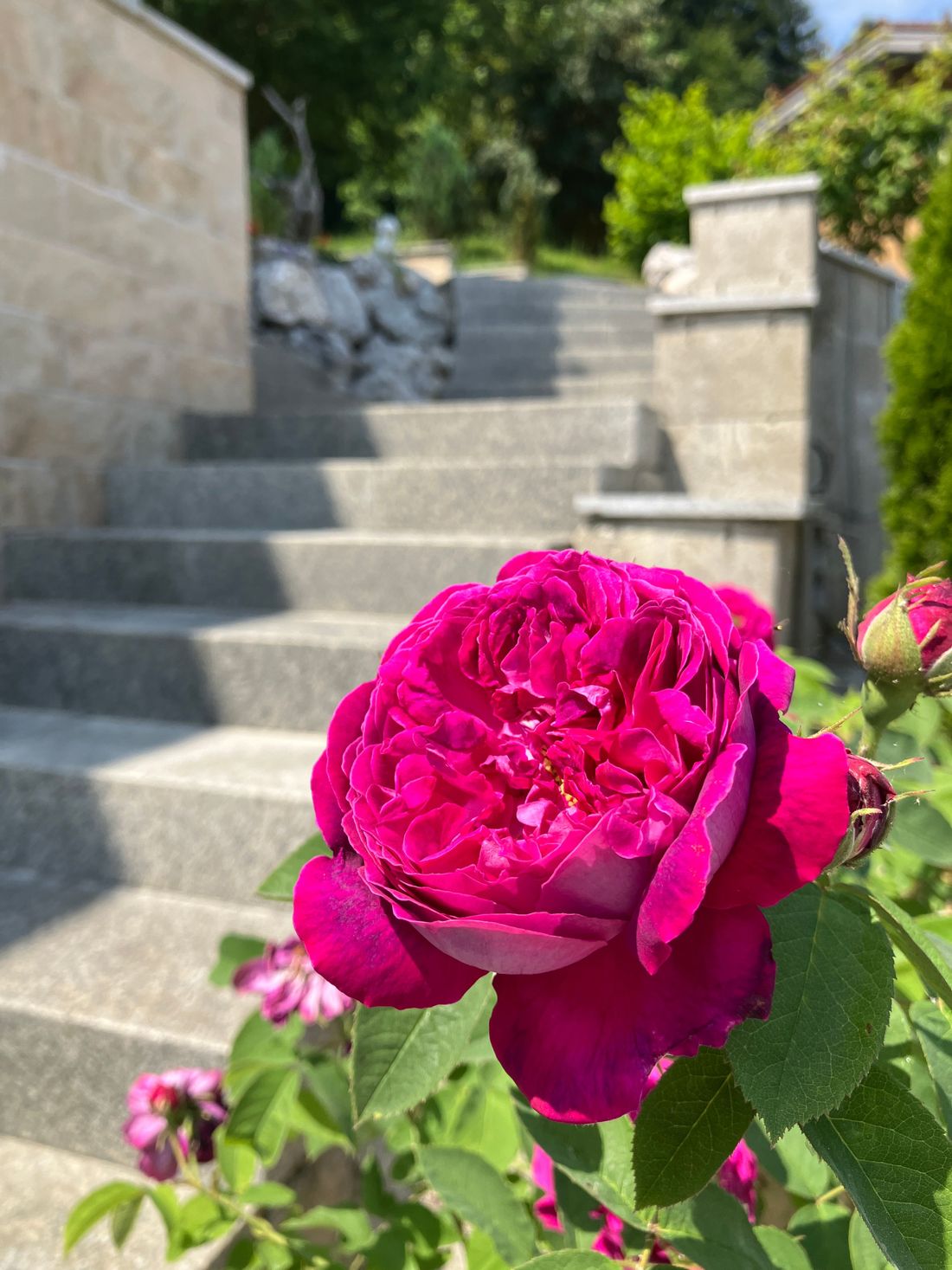 Treppe