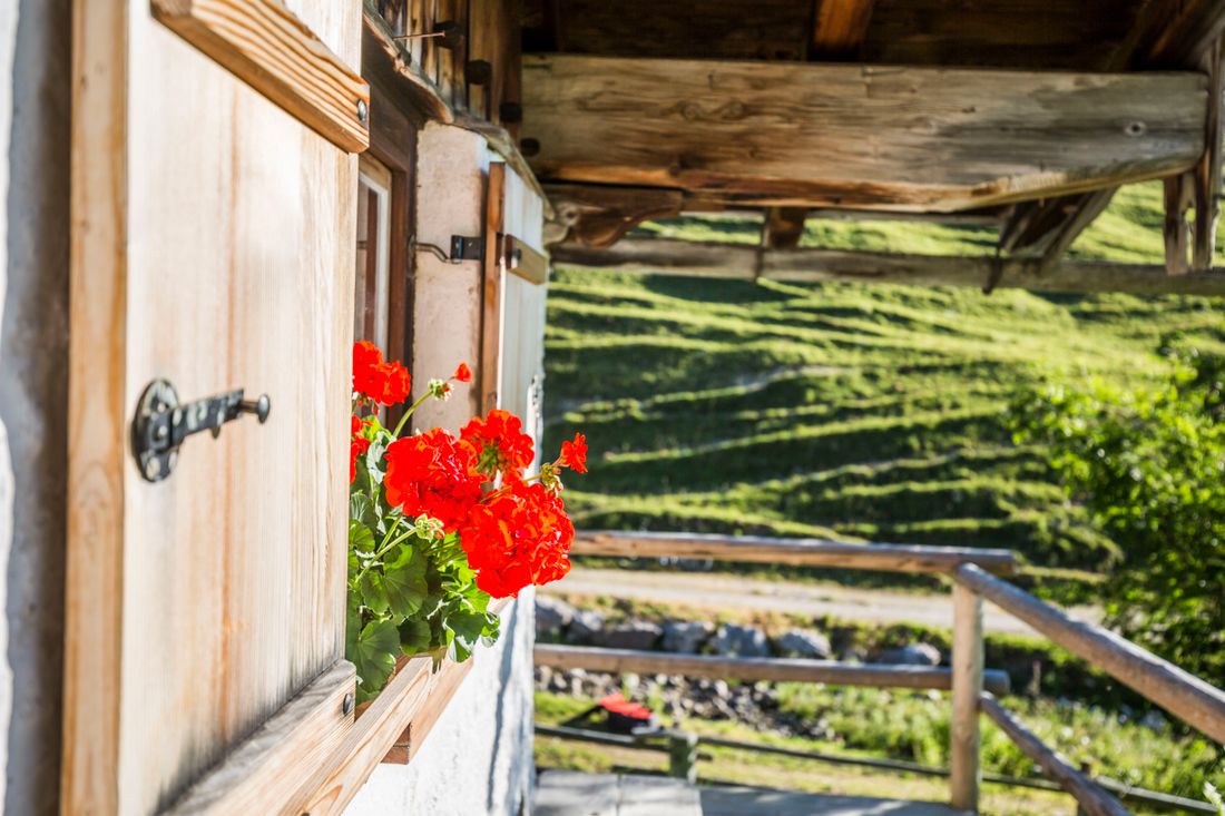 wandern_tk_2015_10-37_9