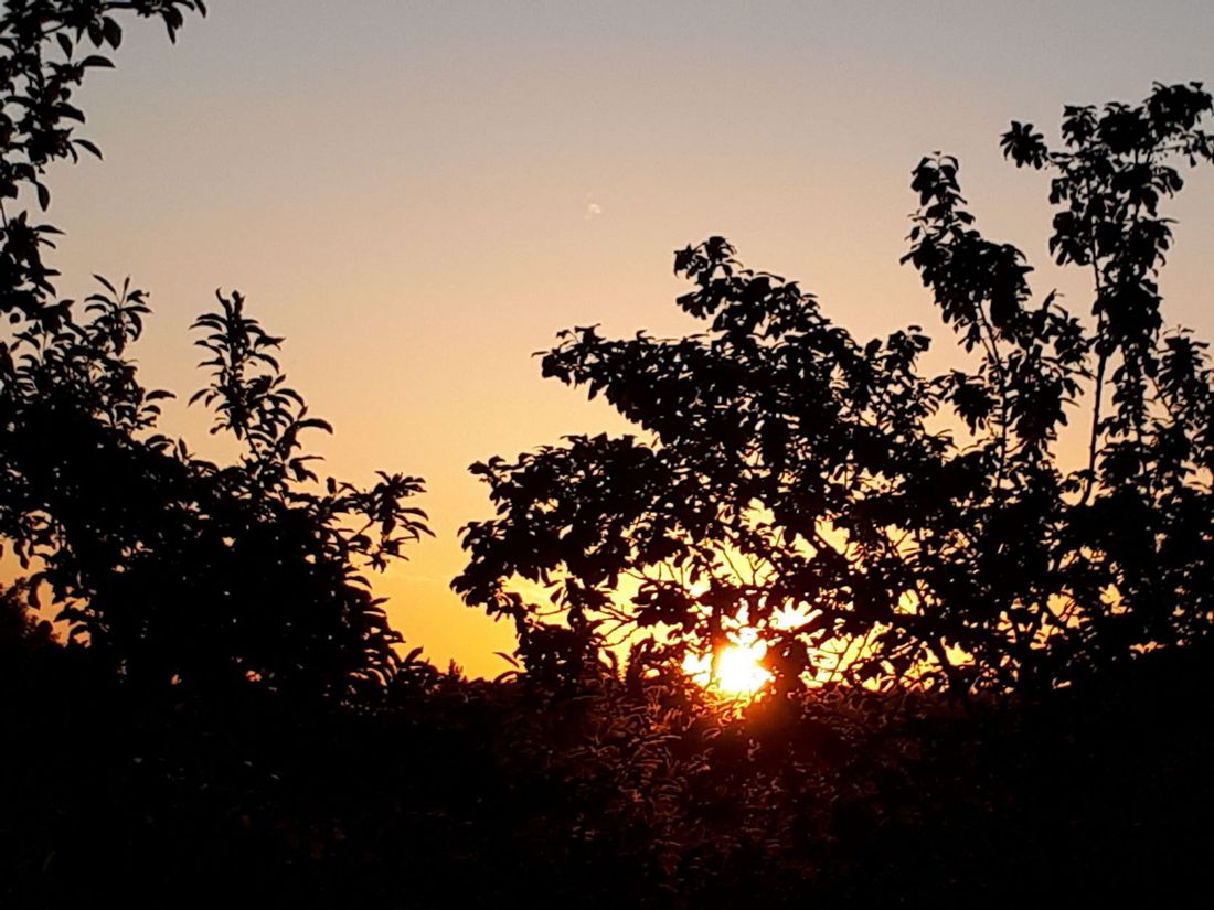 Sonnenaufgang von unserem Balkon aus