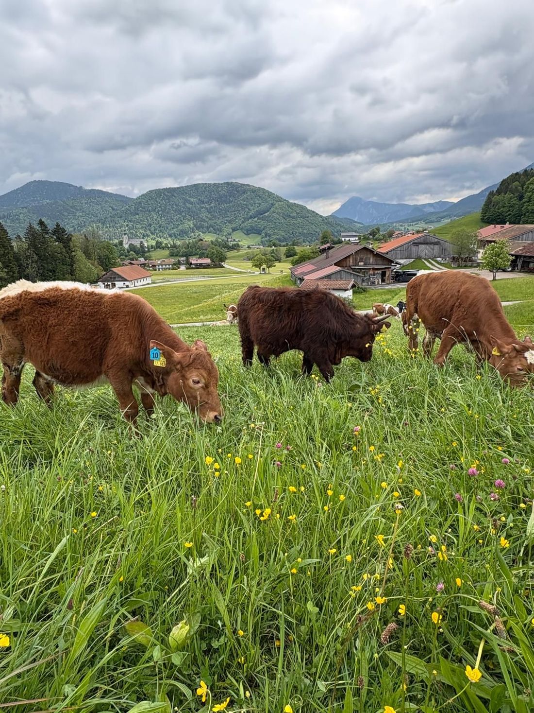 Natur rund ums Haus