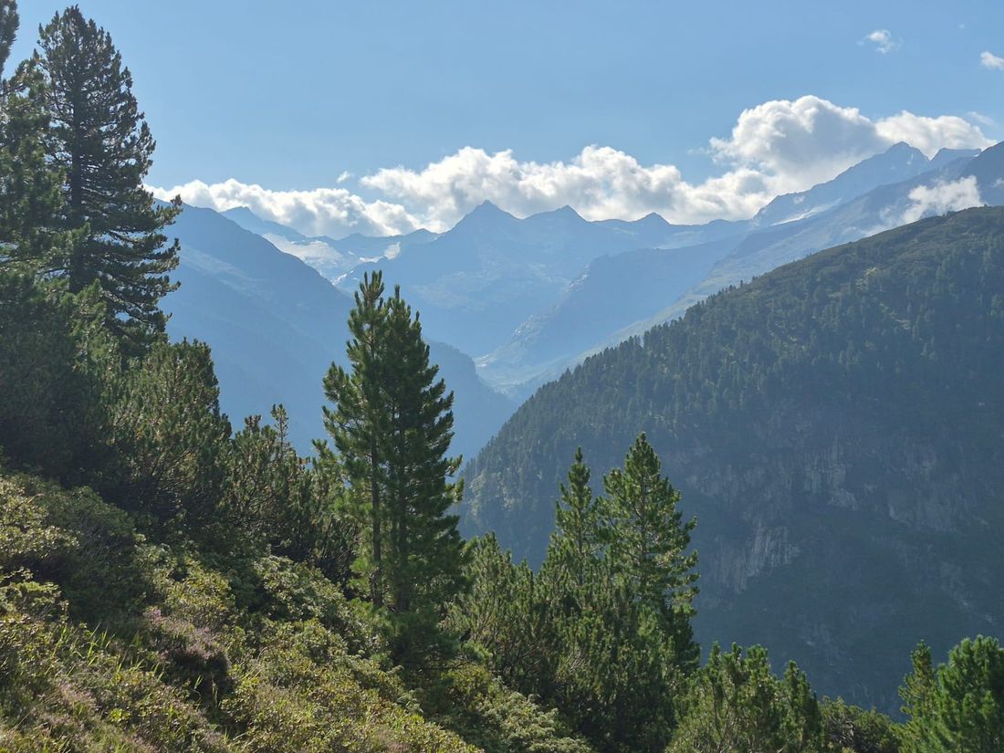 Bergblicke