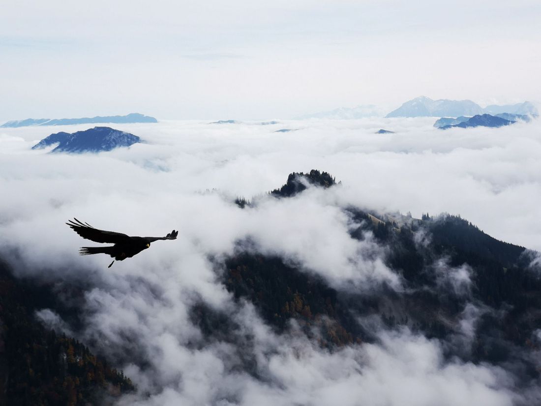Blick vom Hochgern im Herbstnebel