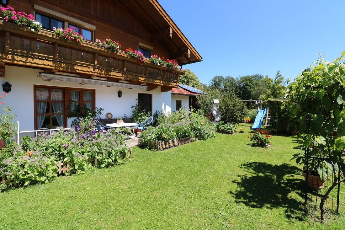 Blick in den Garten