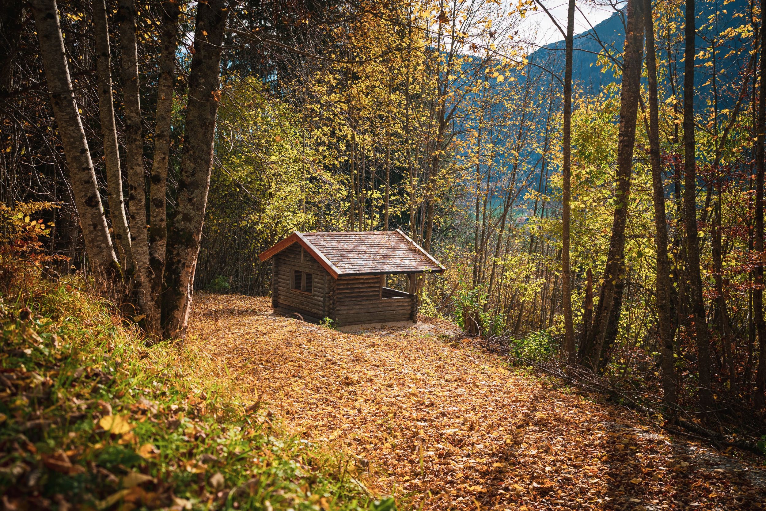 Rasthütte am Wittelsbacher Höhenweg