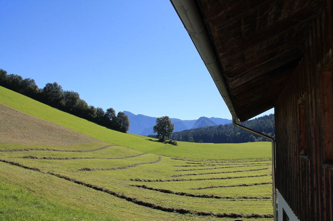 Blick aus dem Schlafzimmer