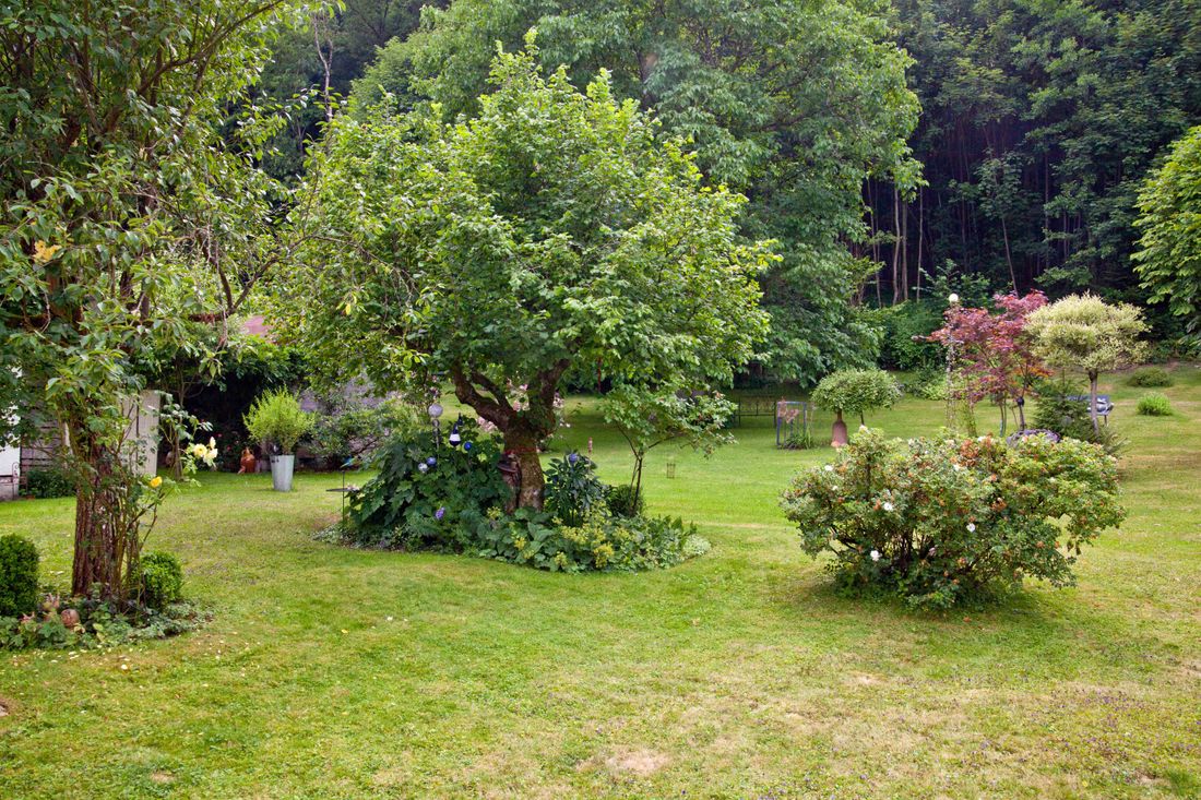 Blick von der Terasse