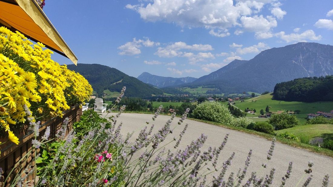 Panorama und Blumenpracht
