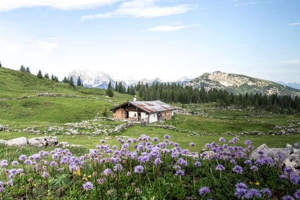 Eggenalm in Reit im Winkl, in the background the Wilder Kaiser