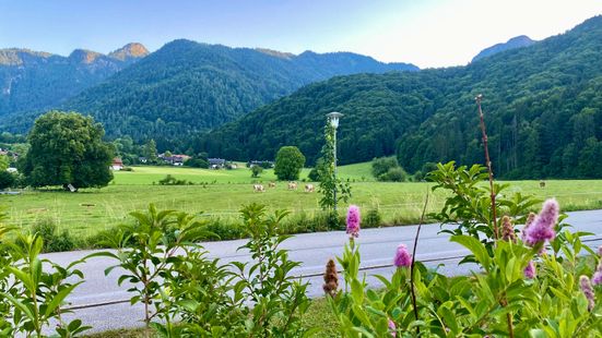 Ausblick von der Terrasse