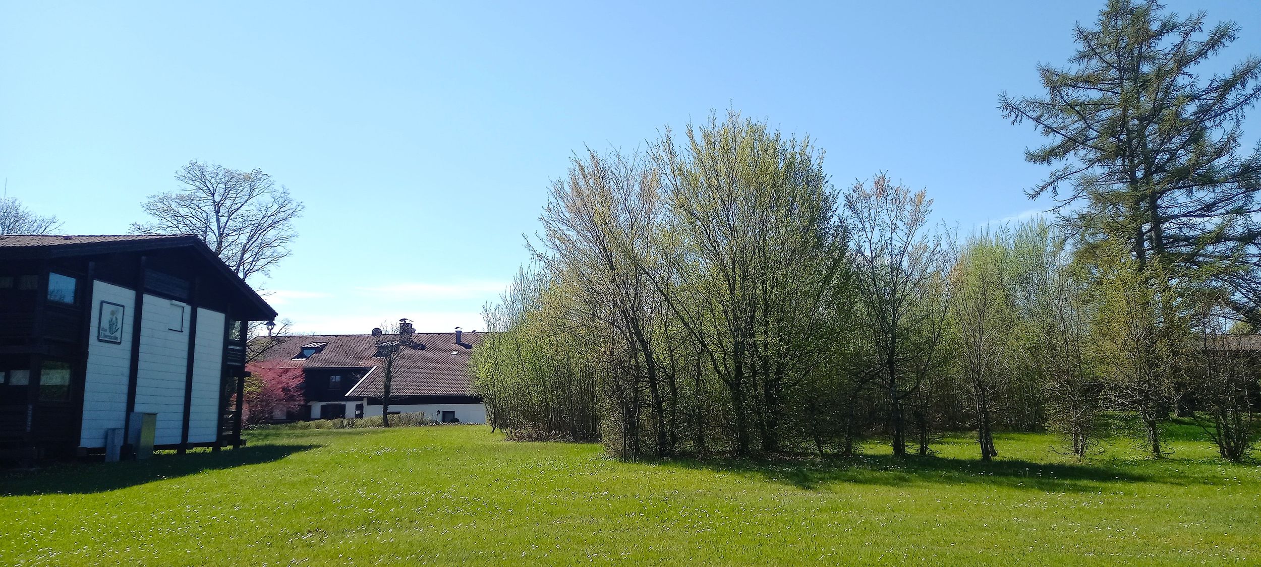 Blick ins Grüne