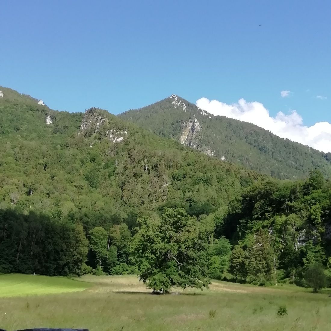 Blick vor dem Haus