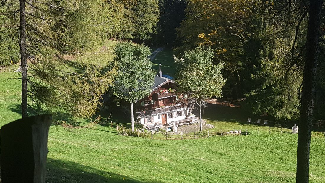 Glapfalm