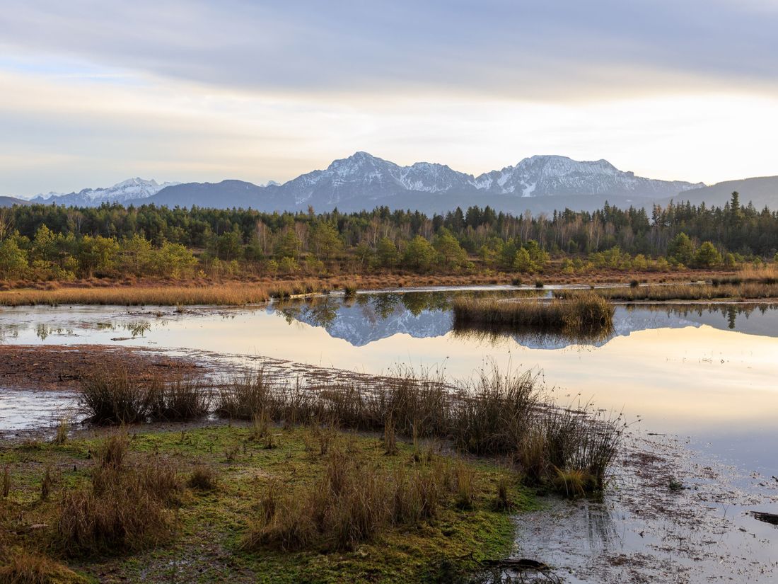 Petting_Schönramer Filz