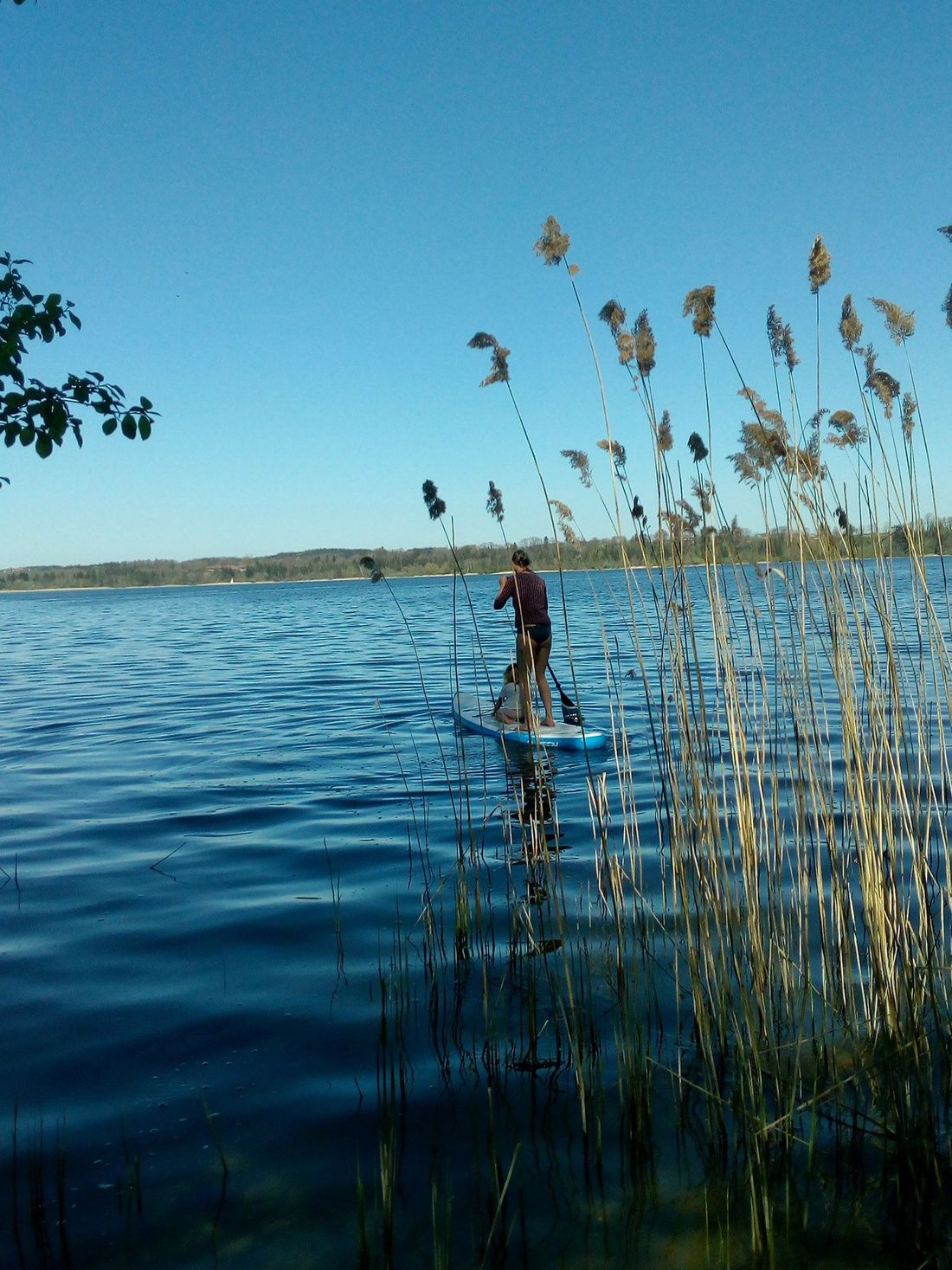 Stand-Up-Paddler am Badegrundstück