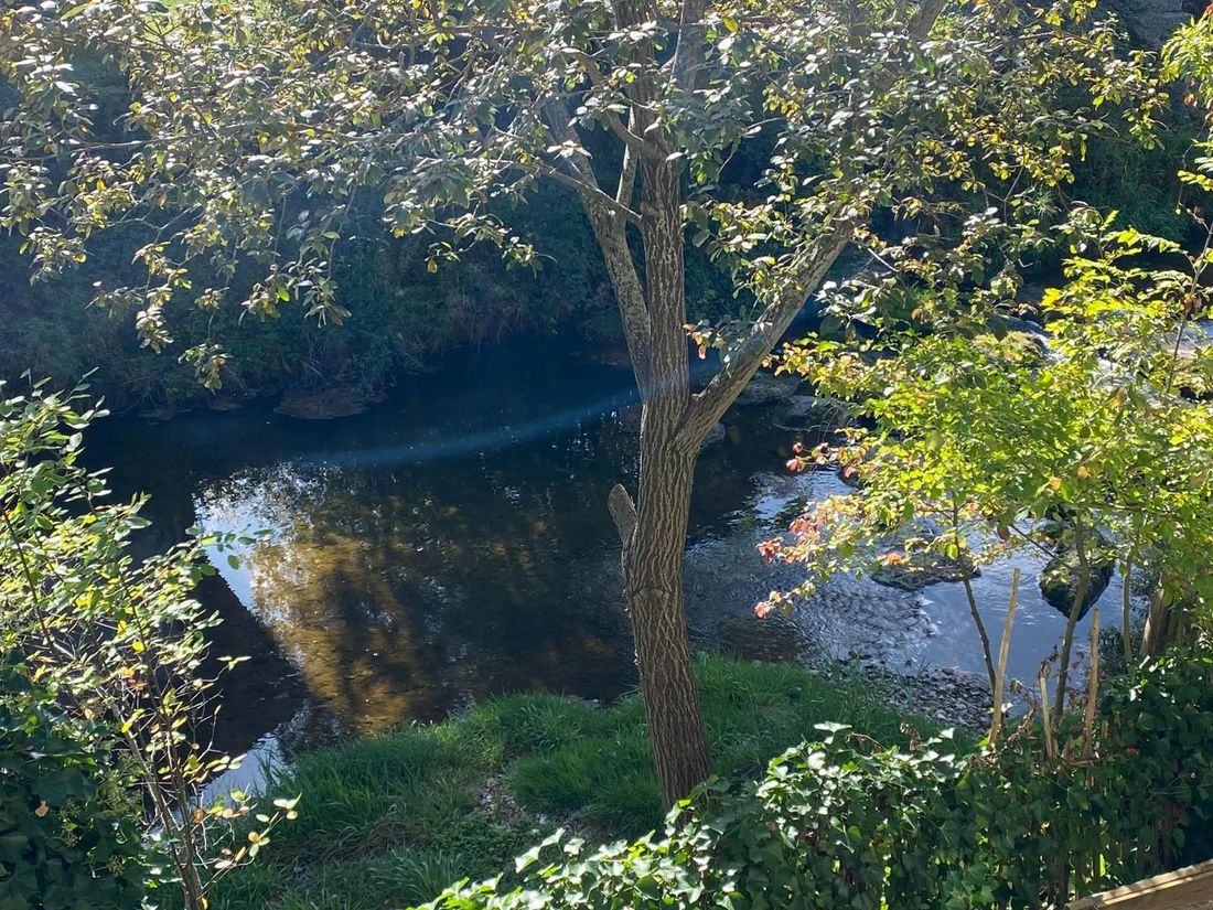 Am Bach ...