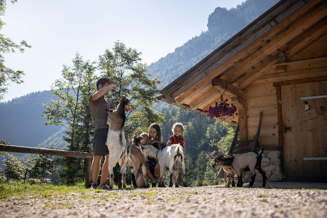 Inzell Sommer Familie Alm Moaralm Familie Rad Radfahren Mountainbike Bike Falkensee Schmelz Spielplatz Naturbadesee baden See_5