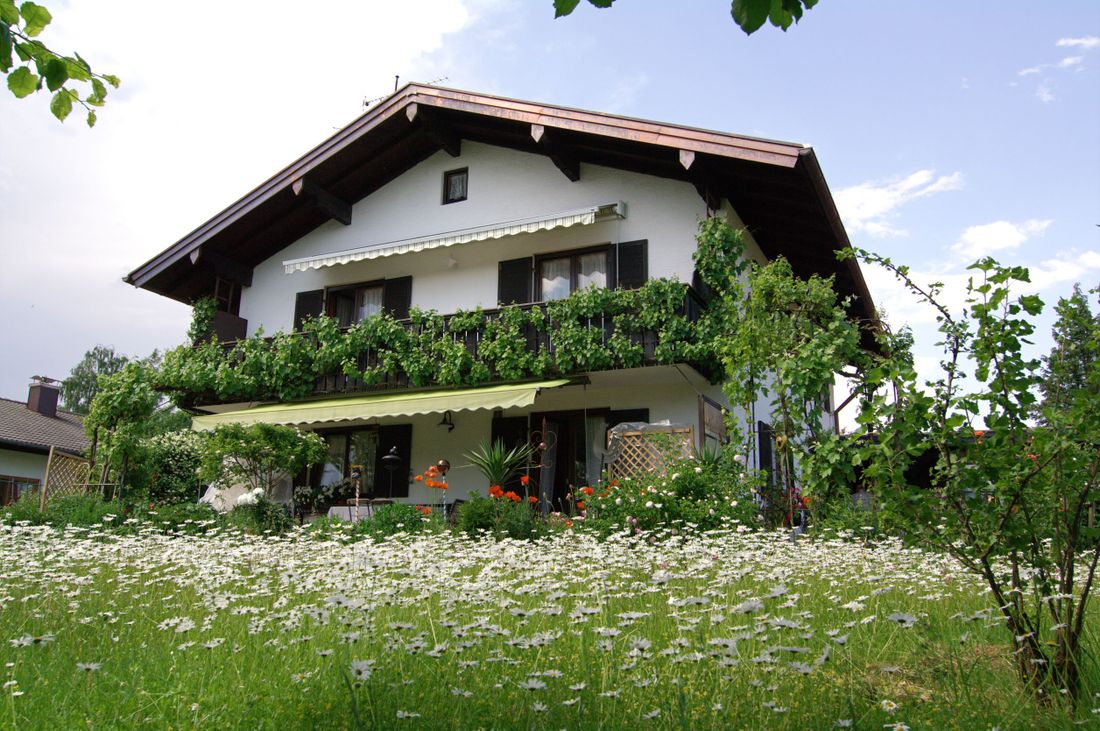 Hausansicht Garten